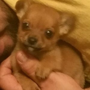 Meet your Posher, Juan